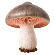 028