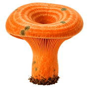 034