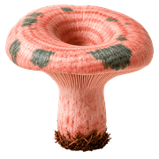 035