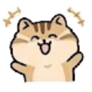 031