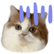 002