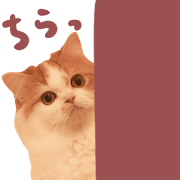 005