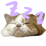 018