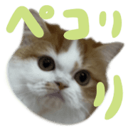 021