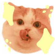 022