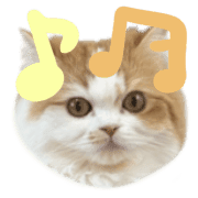 031