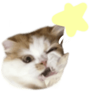 032