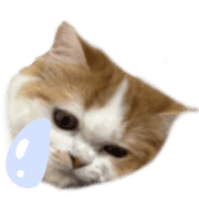 033