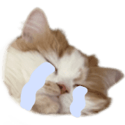 037
