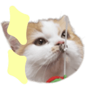 040
