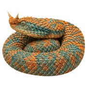 015