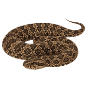 027