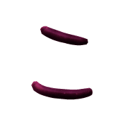 010