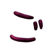 060