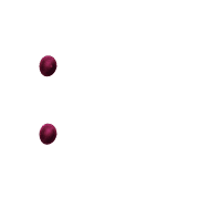 244