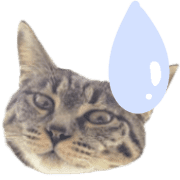 008