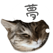 034