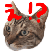 035