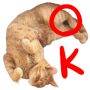 040