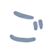 060