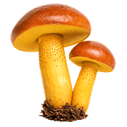 019