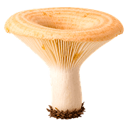 038