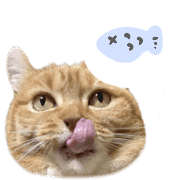 020