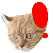 032
