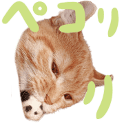 037