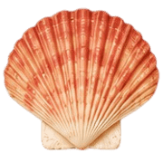 036