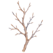 023