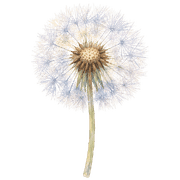 024