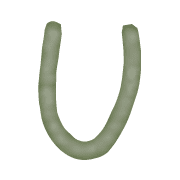 021