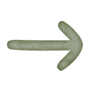 101