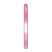 081