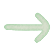 101
