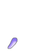 084