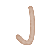 010