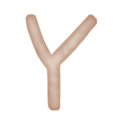 025