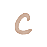 029