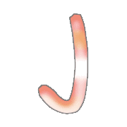 010