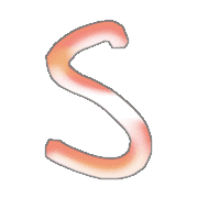 019