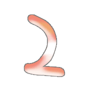 054