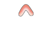 070