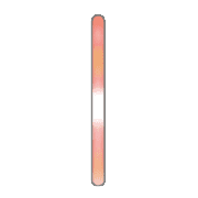 081