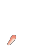 084