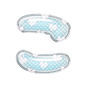 010