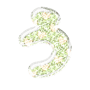 003