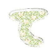 019