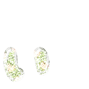 048